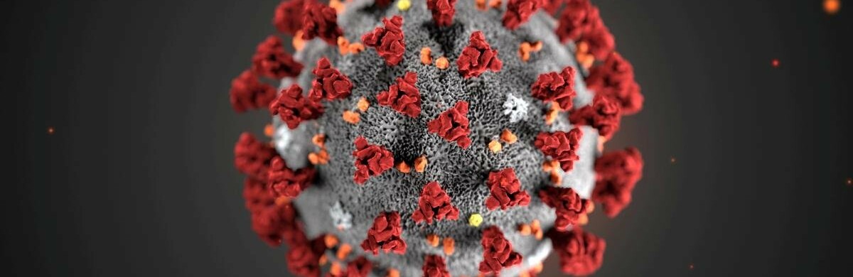  ������������ ������� ����� ���������� ������� ��������� covid-19 