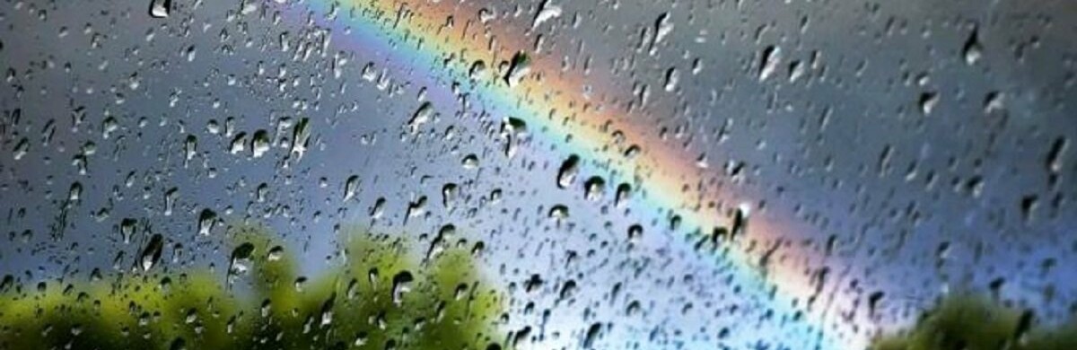  ����� ����� ������� ������ ��������� 