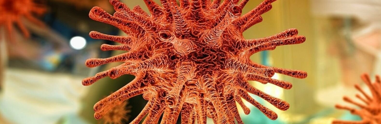  ��������� ���� ������������ 