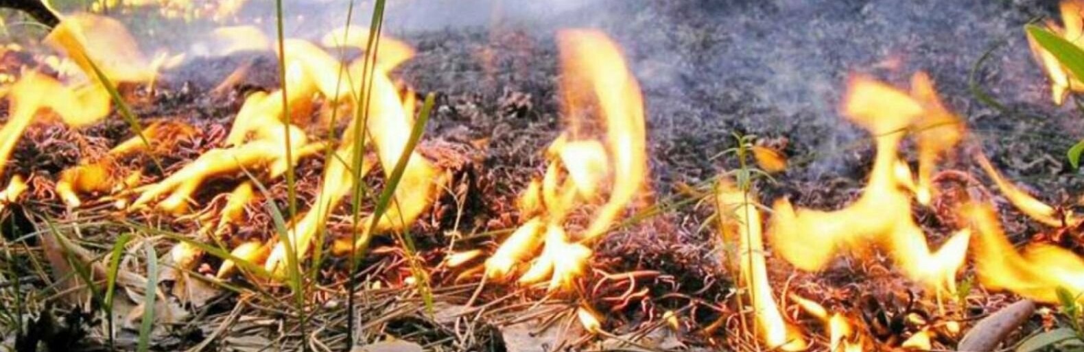  ������������ ������� ������������� �������� ��������� 