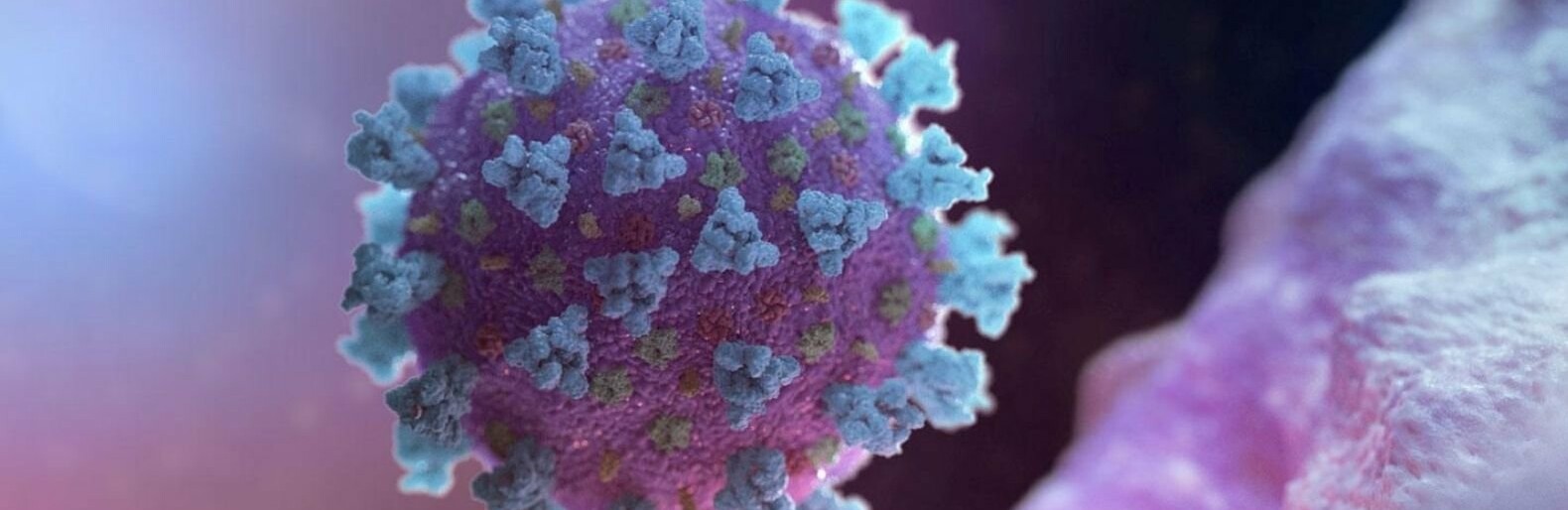  ������ ���������� ������������ ������������ ������� 