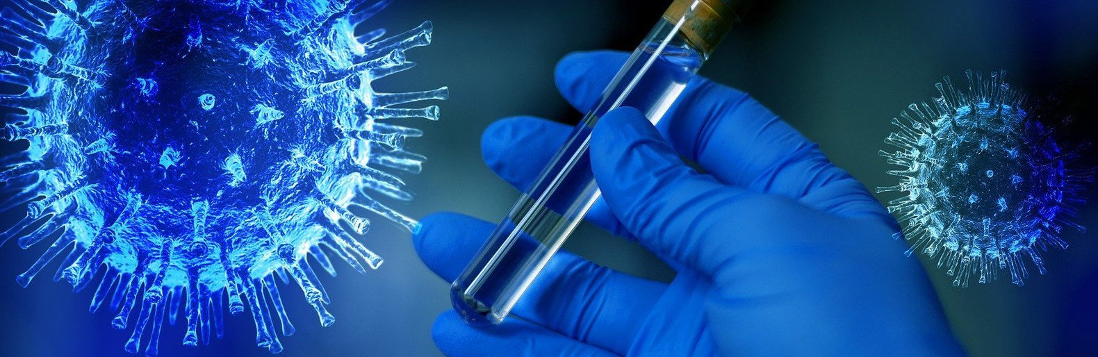  ���������� �������������� covid-19 ������� ������� 