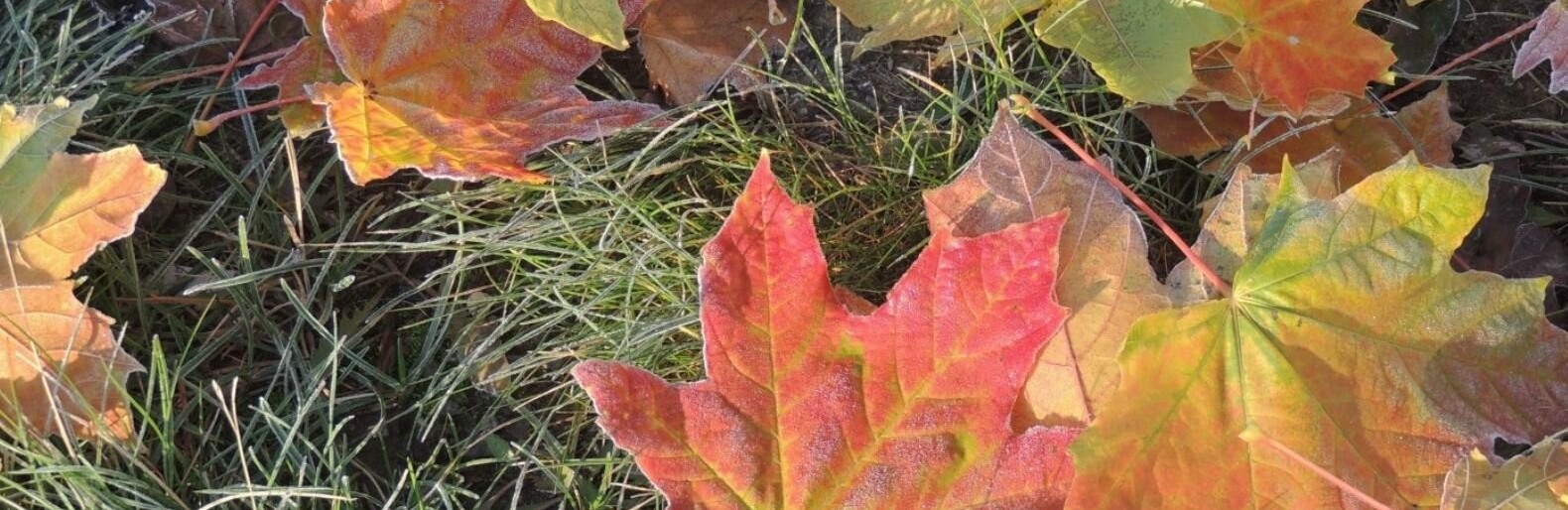 ����: 0512.com.ua