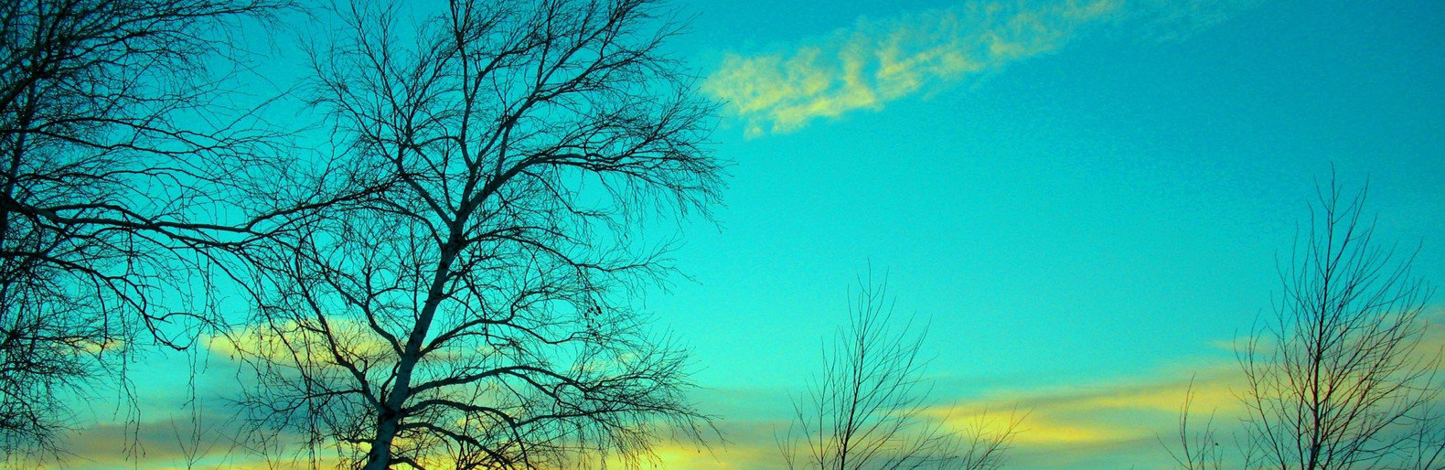  �������� ������� �������� ����� ������ ��������� 