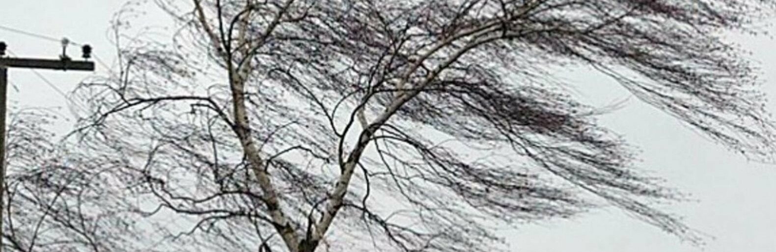  ����������� ������������ ��������� ������ ��������� ��� 