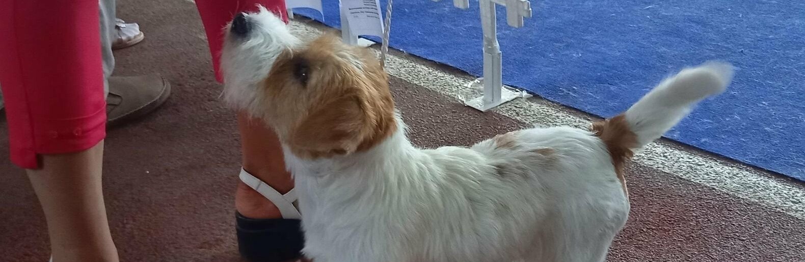  ��������� ������� ������������ �������� ����������� ����� 