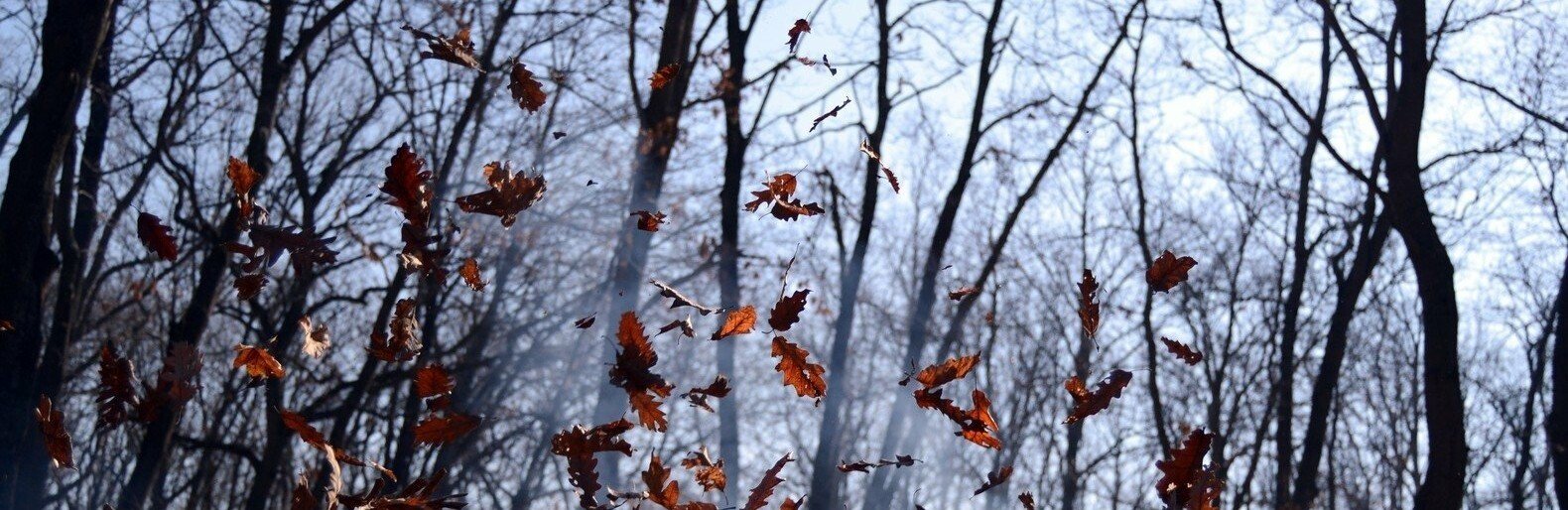 ����: 0512.com.ua