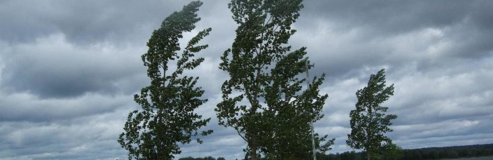  ����������� ������������ �������� ����� ���� ������� ������� ����� 