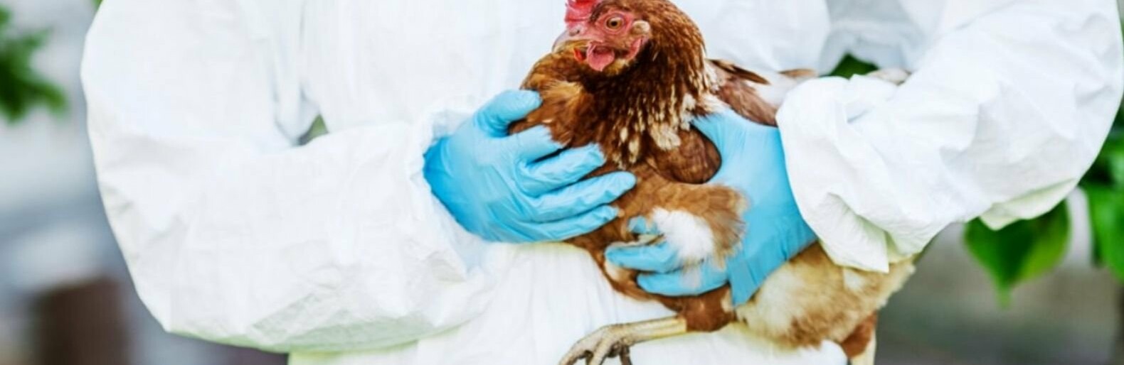  ������������ ������� �������� ������� ������ ����� ����� 