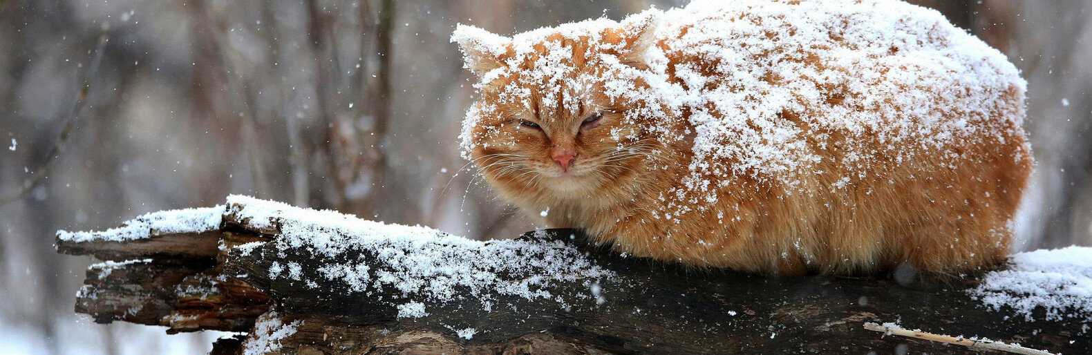  ������ ��������� ������� ����� ��������� ����� 