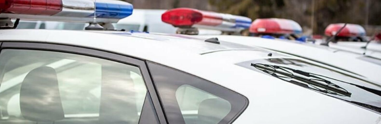  ��������� ��������� �������� ���� �������� ����������� ���� 