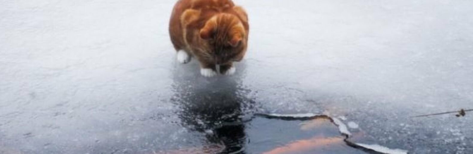  ������� ������ ��������� ������� �������� ���� ���������� 