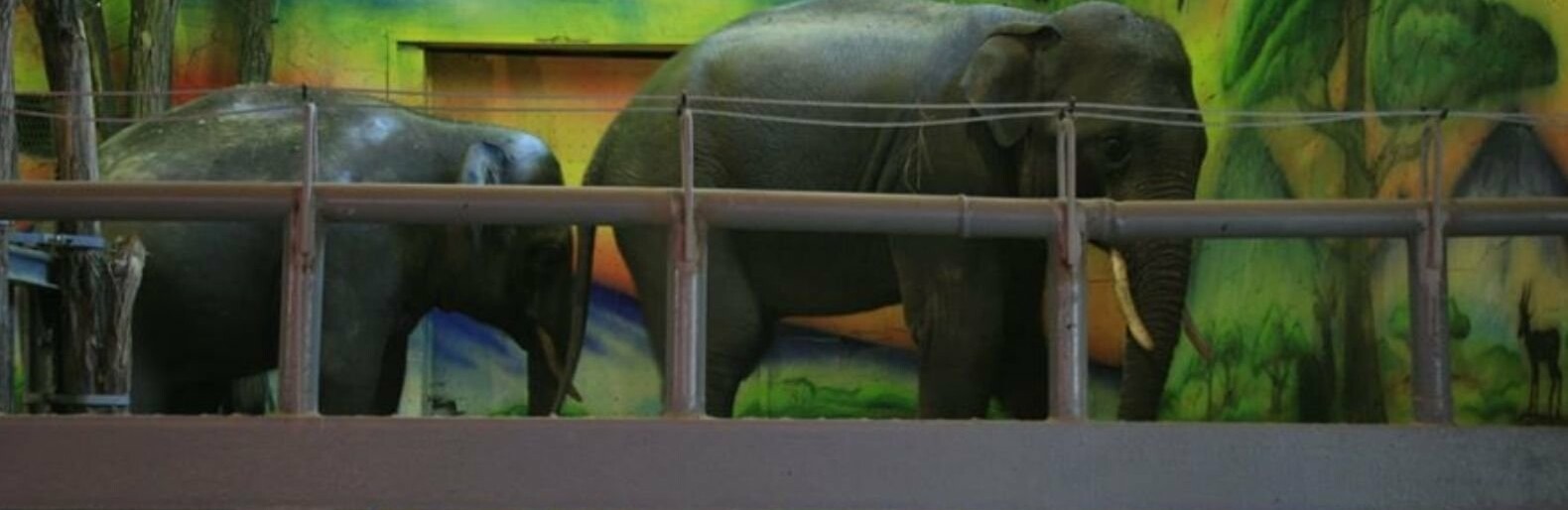  ������������ ������� ������� ������ ����� ���������� ������ ������� 