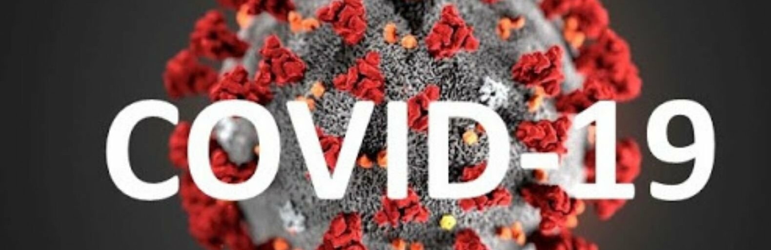  �������� ����������� ����� ������ ������������ ������������ 