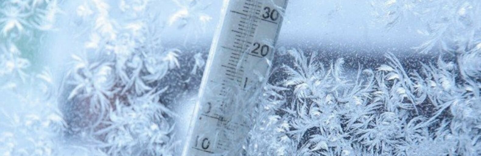  ���� �������� ������� ������ ��������� ������� 