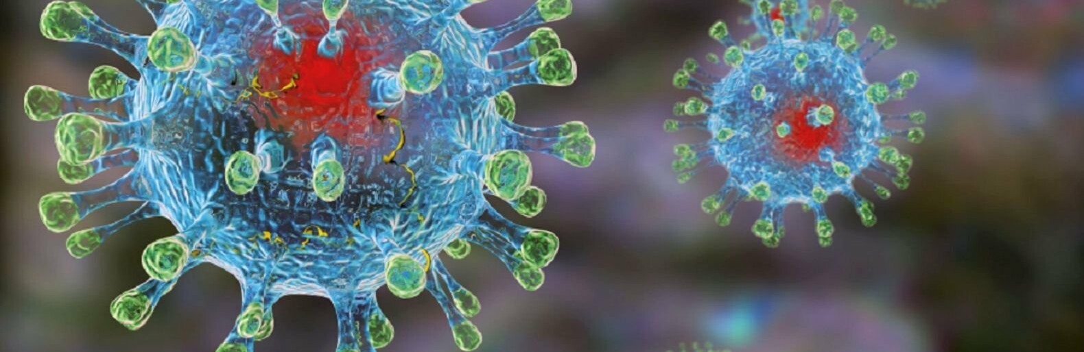  163 ���������� ����������� ������������ ������� 