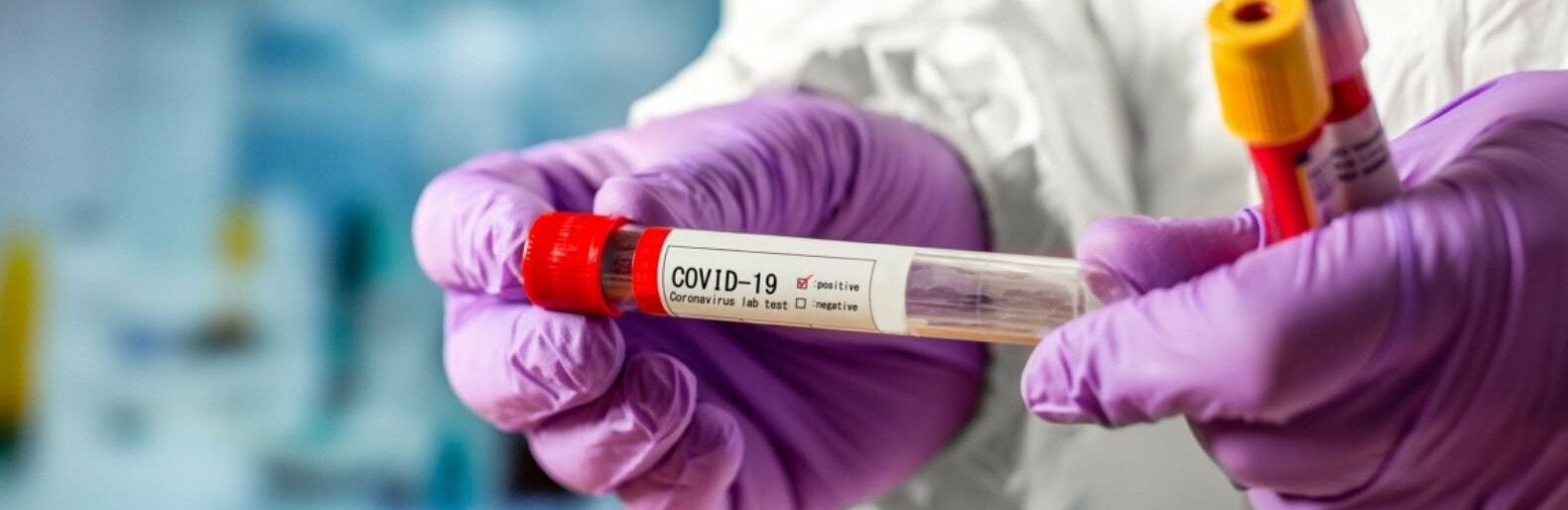  ���� ������������� ���������� ������������ ������������ ������� 