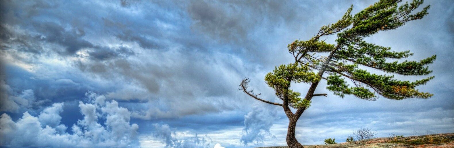  ��������� ������ ��������� ������� ���������� 