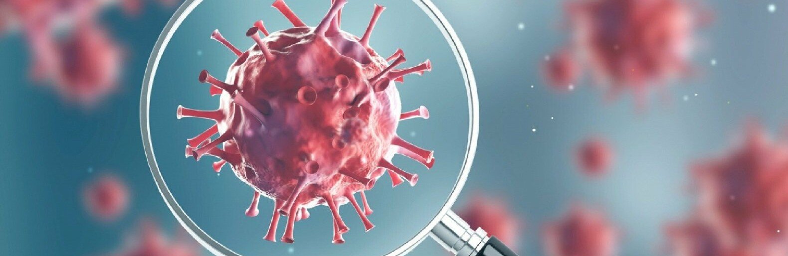  ����� ������� 226 ������� ��������� ������������� 400 ��������� 