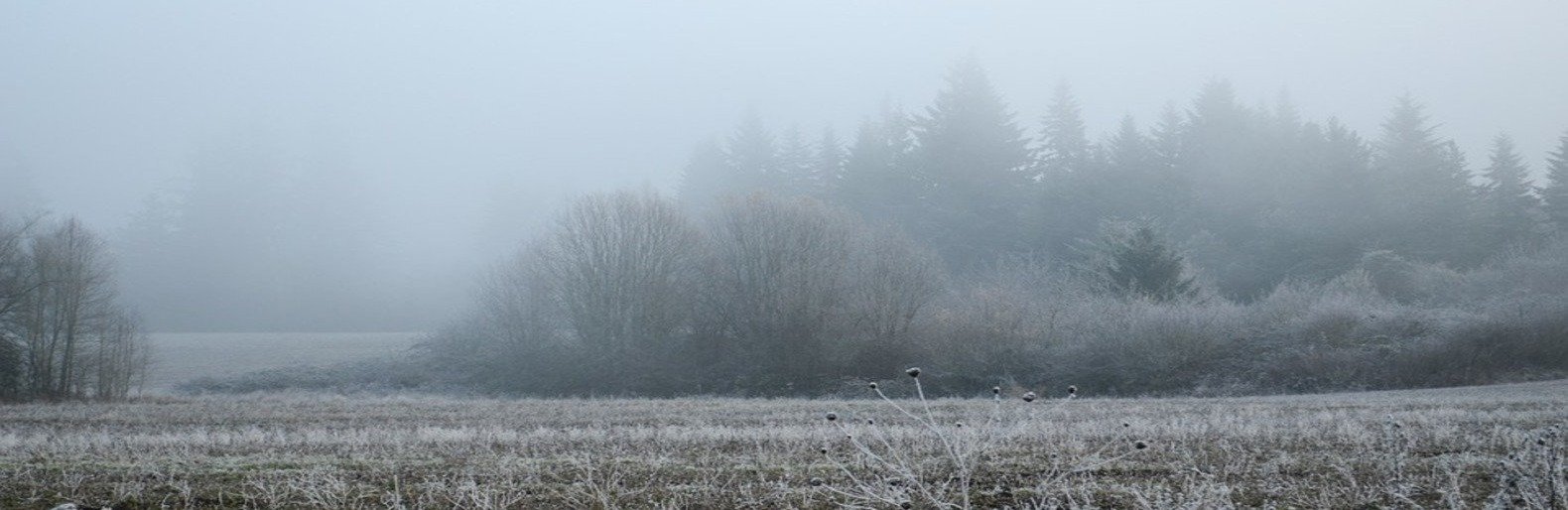  ������� ��������� ��������� �������� ������������ 