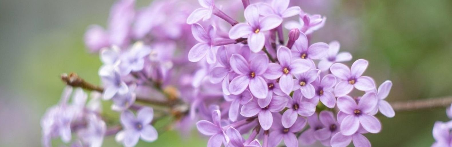  ������� ��������� ��������� ������ 