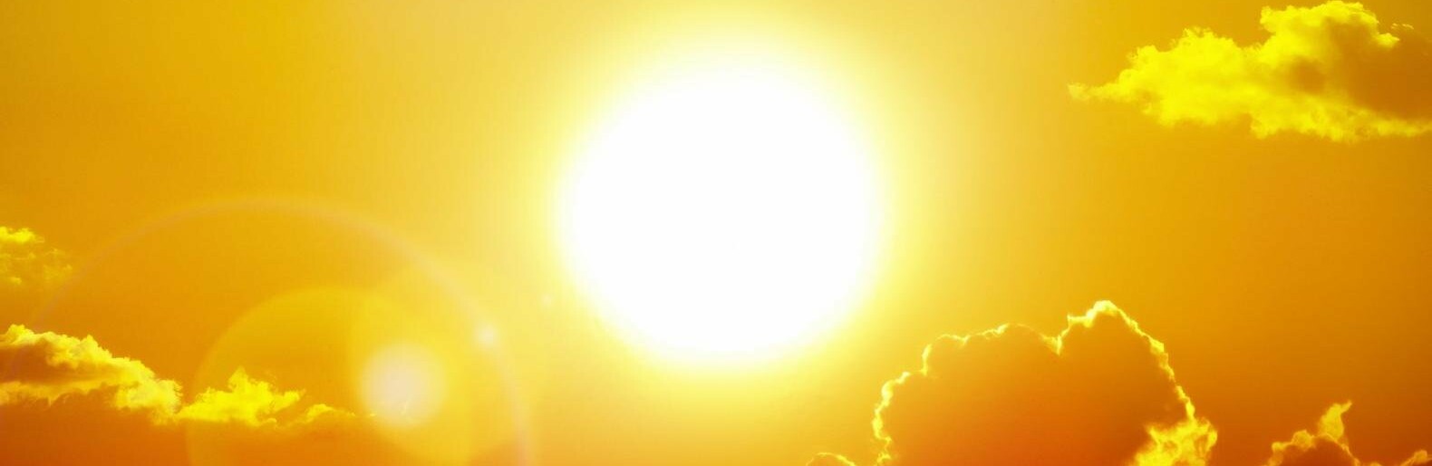  ������ ��������� ������� ������� �������� ��������� ���� 