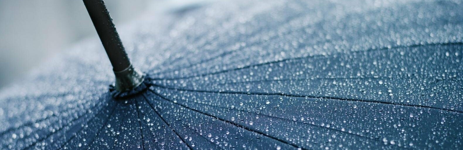  ��������� ������ ��������� ����������� ���� ���������� ������������ 