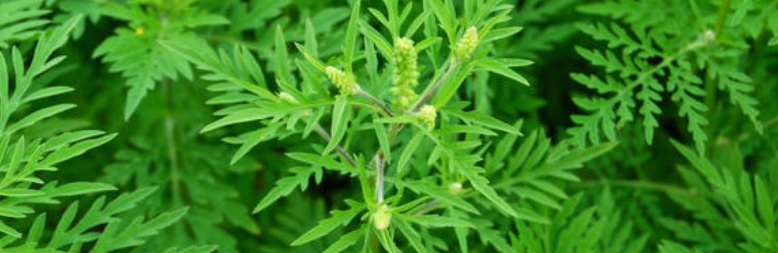 ����: 0512.com.ua