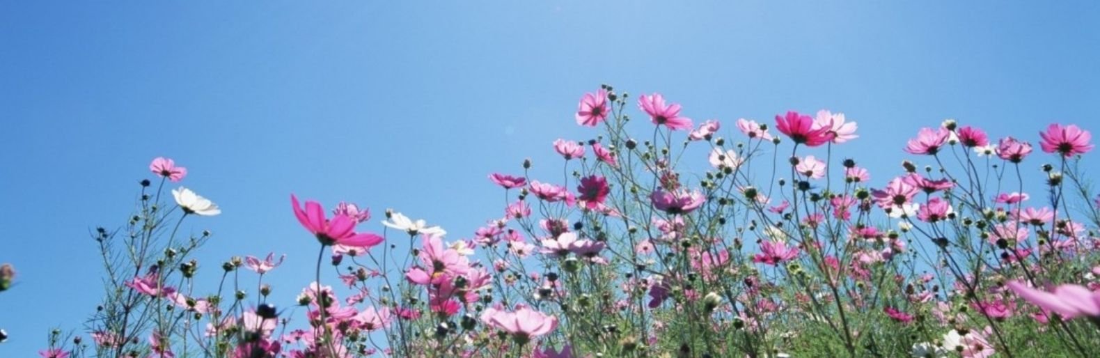  ��������� ������ ���� ������ ��������� ���� 