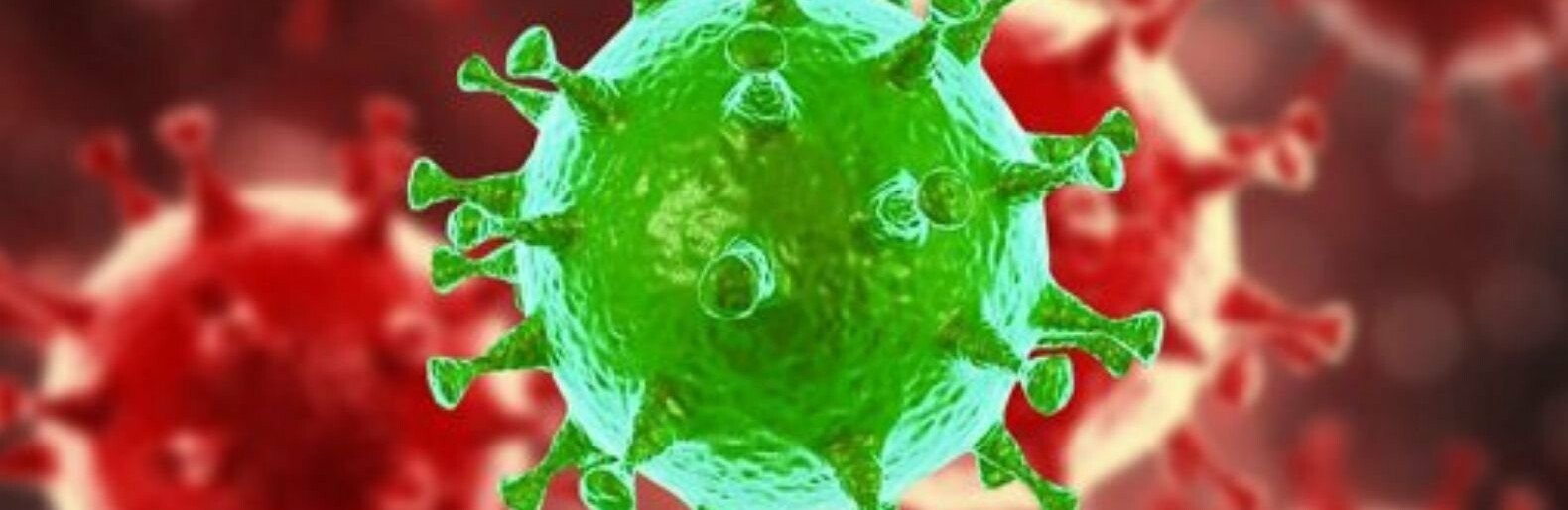  ���������� ������� �������������� ������� ������� ������ ���� 