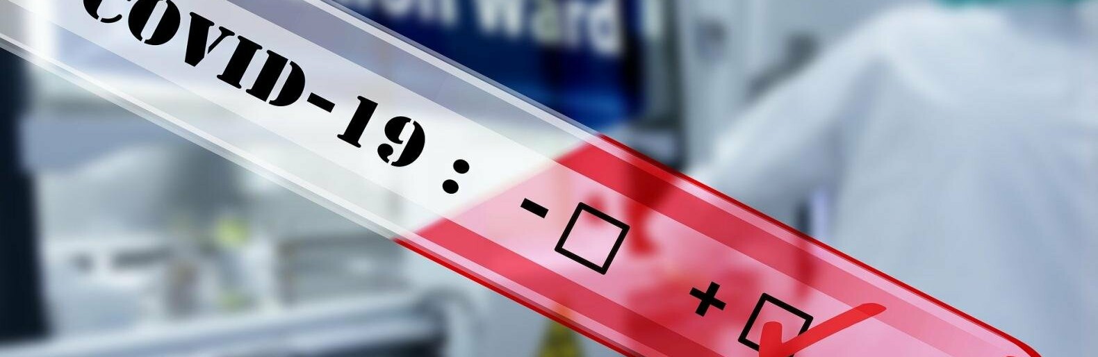  ���������� ������������ ������� ������ ������ ��������� ���� 