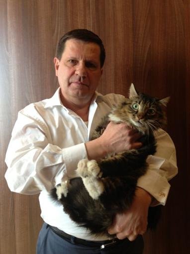 костусев с котом костусев с котом