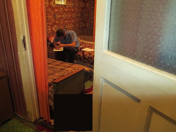 PM337image002