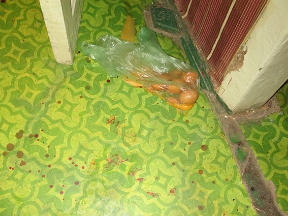 PM81image003