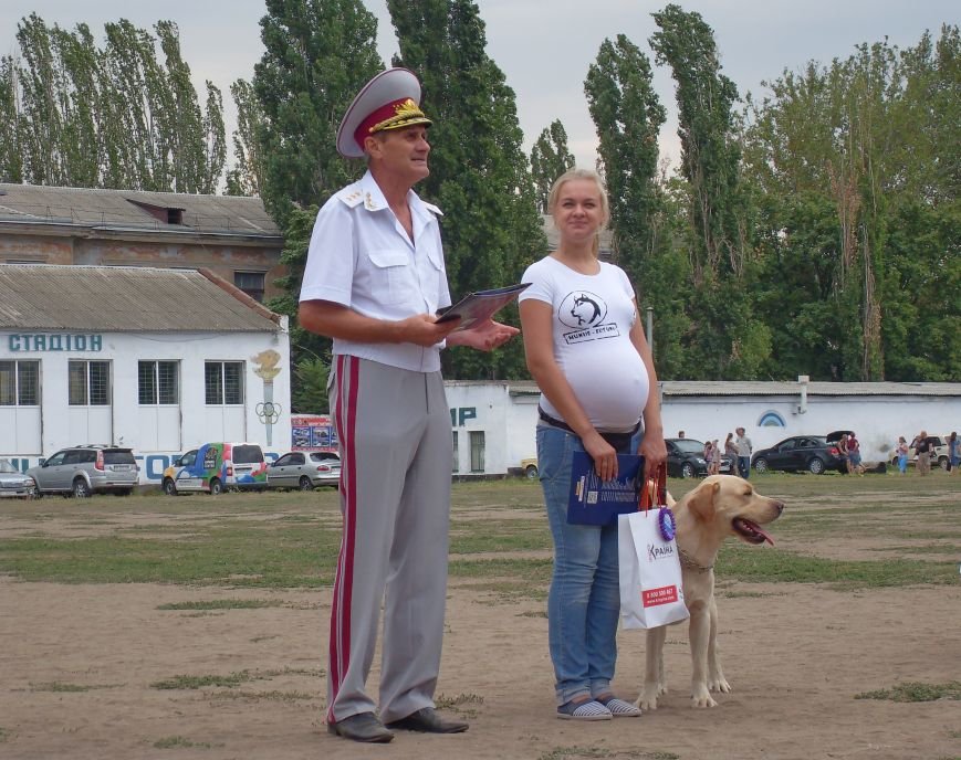 Николаевцы вывели своих четырехлапых товарищей на модный показ (ФОТОРЕПОРТАЖ) (фото) - фото 1