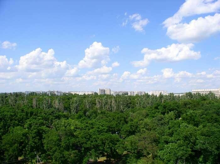 Адміністрація Центрального району Миколаєва планує провести благоустрій зелених зон майже за мільйон гривень