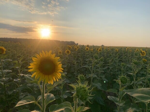 Всюди злива, а в Миколаєві - сонячно: погода у неділю, - ФОТО 0