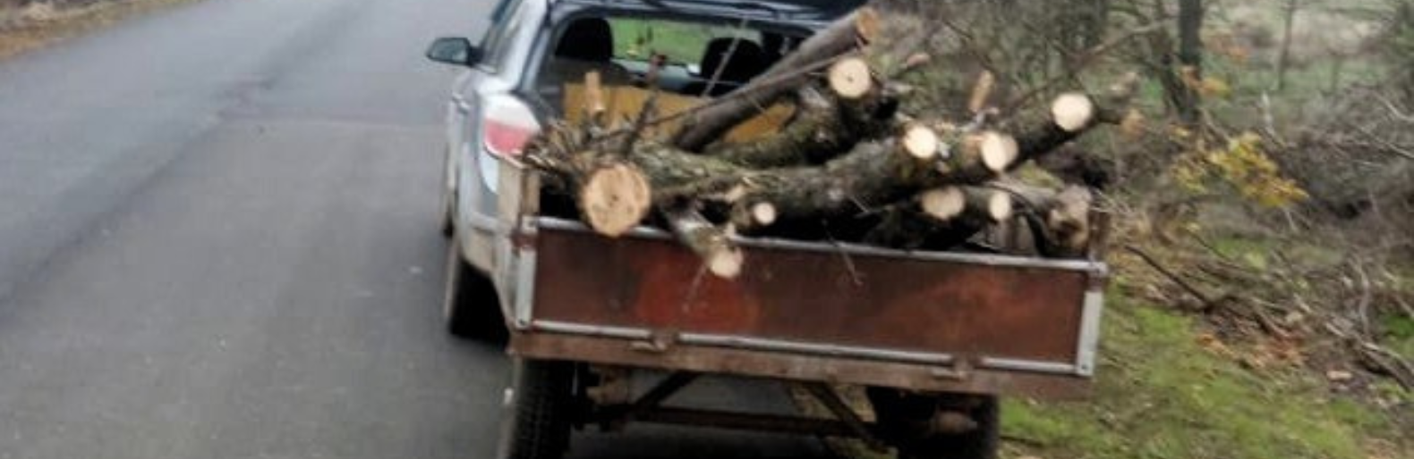 Перевезення деревини без документів: на Миколаївщині порушника притягнули до відповідальності, - ФОТО