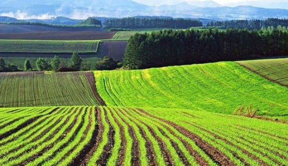 На Миколаївщині прокуратура через суд вимагає конфіскувати земельні ділянки громадян росії 
