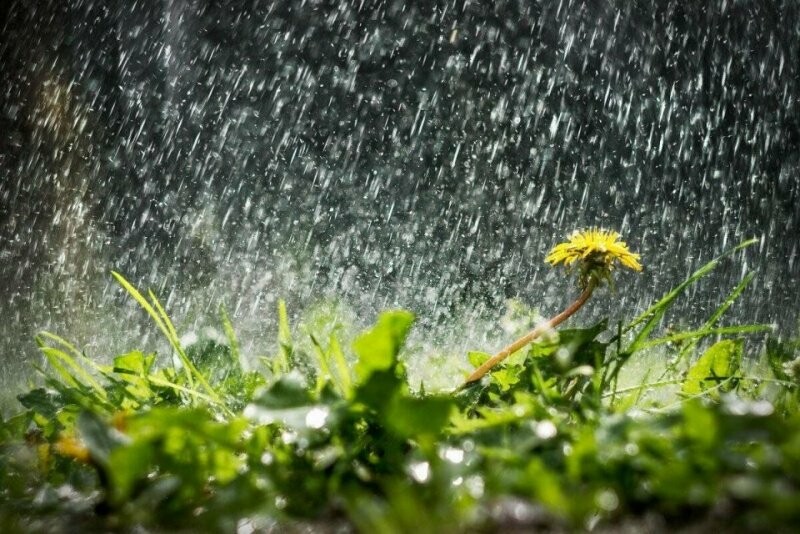 Жителів Миколаївщини попереджають про перший рівень небезпечності: очікується значний дощ