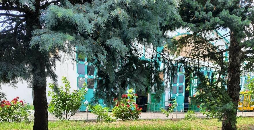Яка погода очікує на миколаївців в перший день літа