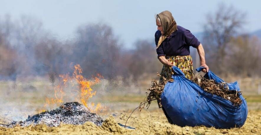 Спалювання сухої трави та рослинності: на Миколаївщині жінка сплатить більше 3 тисяч штрафу 