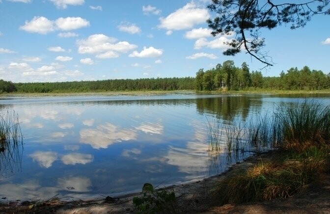 У річці на Миколаївщині потонув 70-річний чоловік