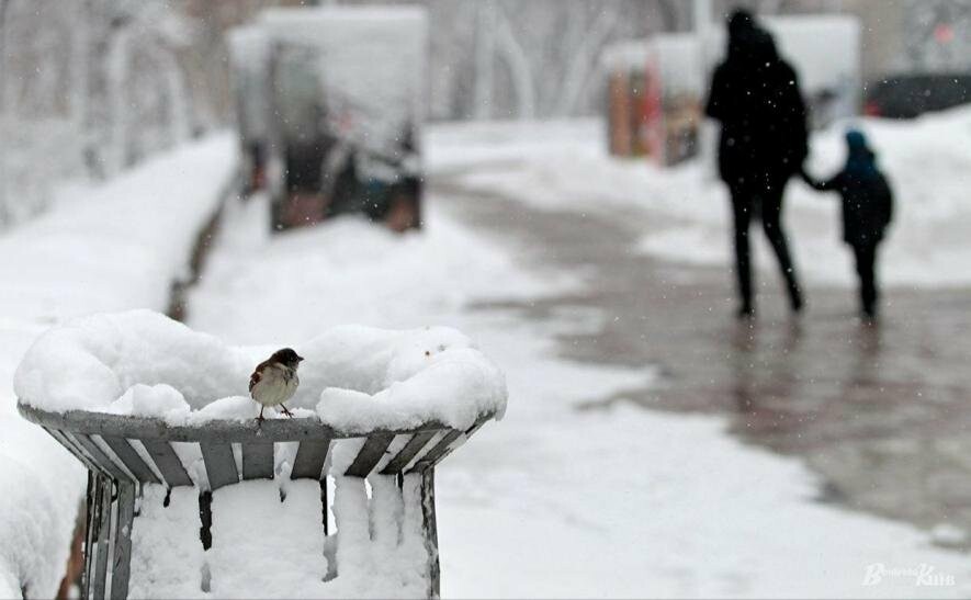 В Україні підвищиться температура повітря: миколаївців попереджають про перший рівень небезпечності 