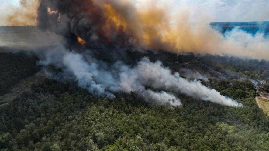 На Миколаївщині, через масштабну пожежу в лісі, п'ять населених пунктів залишились без електроенергії, - ФОТО