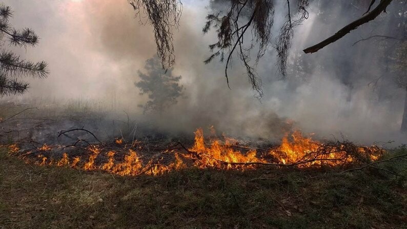 На Миколаївському некрополі сталася пожежа: у склепі виявили тіло невідомого чоловіка