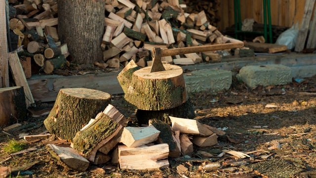 З наступного тижня жителі Миколаївщини почнуть отримувати безкоштовні дрова 