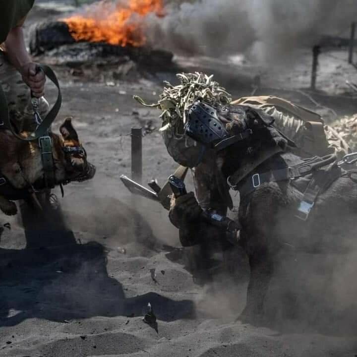 Між Силами оборони та ворогом відбулося 35 бойових зіткнень за добу 