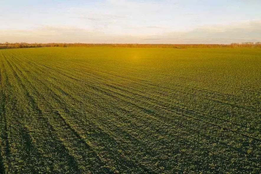 На Миколаївщині двоє підприємців експортували сільгосппродукцію та не сплатили майже 60 мільйонів гривень до бюджету