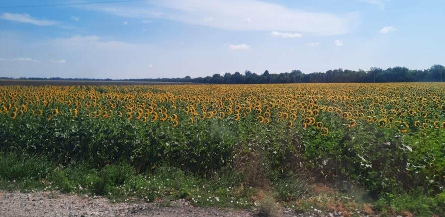 Спекотно та безвітряно: погода у неділю в Миколаєві 
